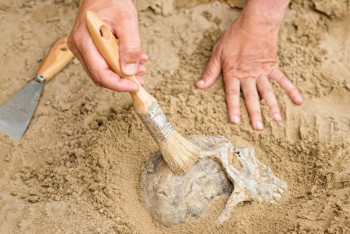 Казахстанские археологи нашли курган раннего железного века