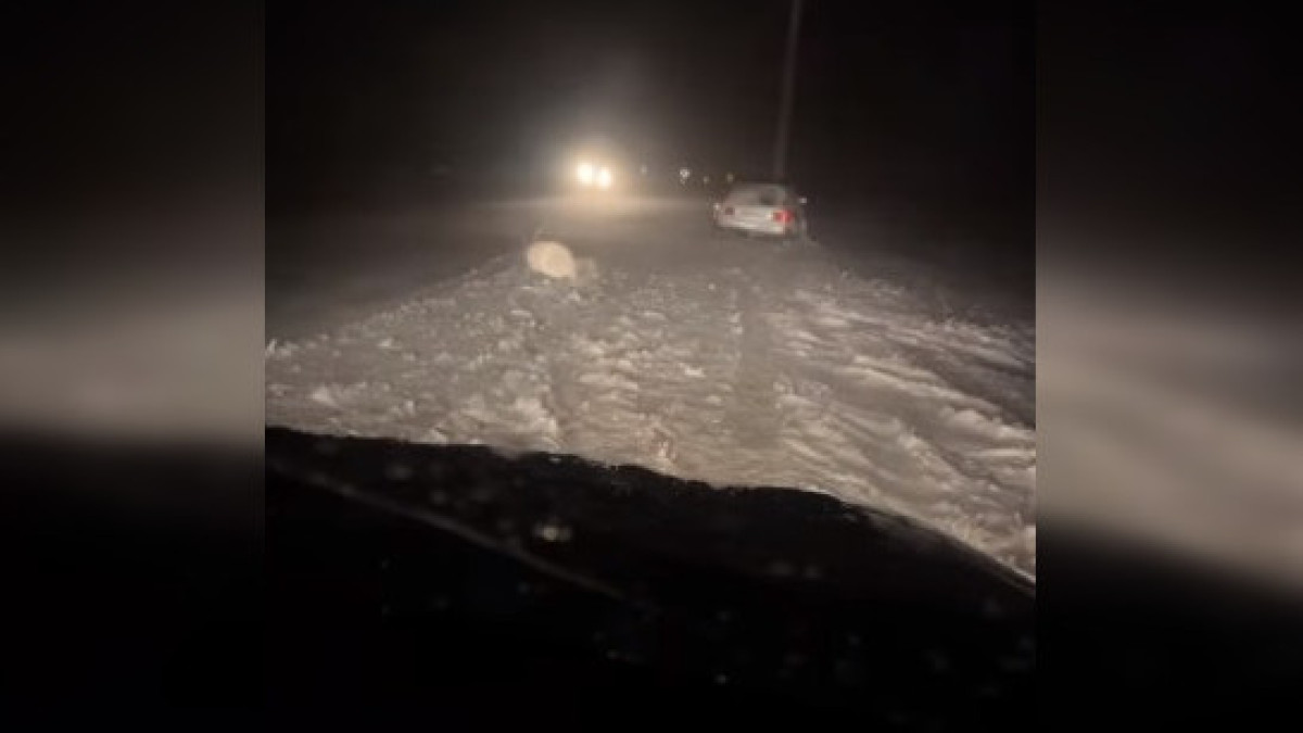 скриншот с видео