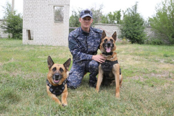 С участием служебных собак раскрыто 260 наркопреступлений в Казахстане