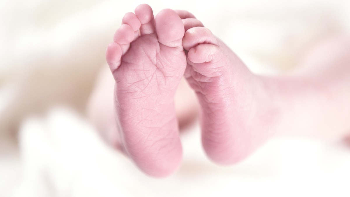 pixabay.com / иллюстративное фото