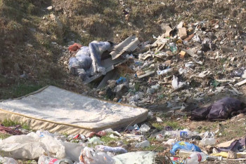 Фотография к новости: В Шымкенте начали масштабную борьбу со стихийными свалками