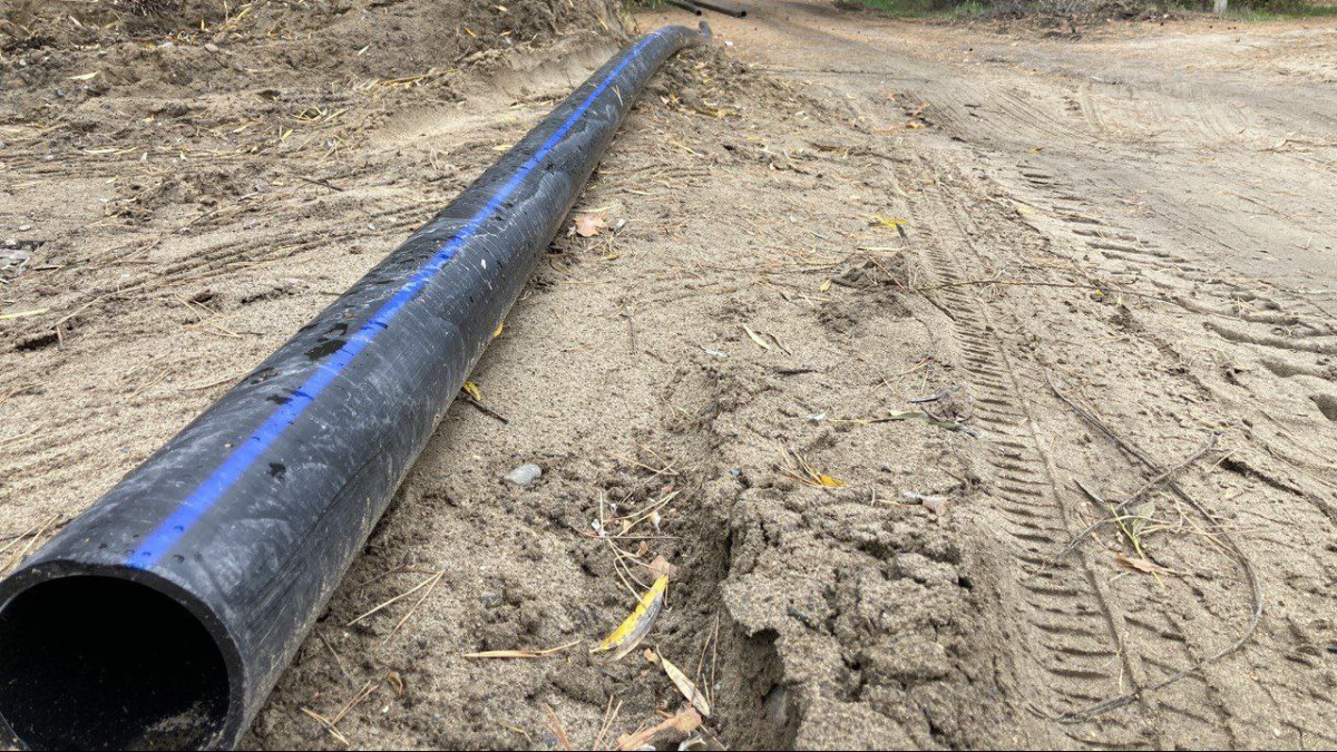 Альбина Халел