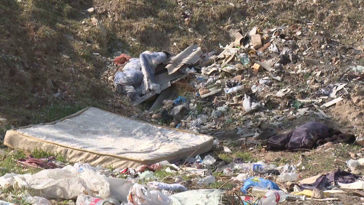 Анастасия Новикова