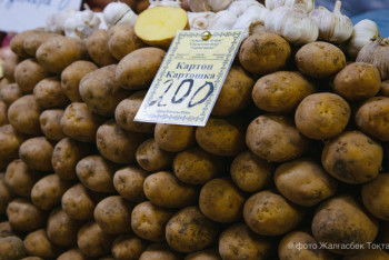 Фотография к новости: Картофельный бум: вслед за хлеборобами в дефолте могут оказаться картофелеводы