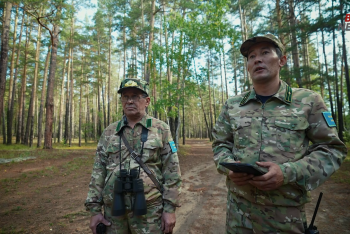 Фотография к новости: Спецрепортаж: как берегут и восстанавливают лес в Боровом