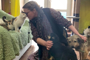 Фотография к новости: "Собаки тоже плачут": как уберечь животных в Казахстане