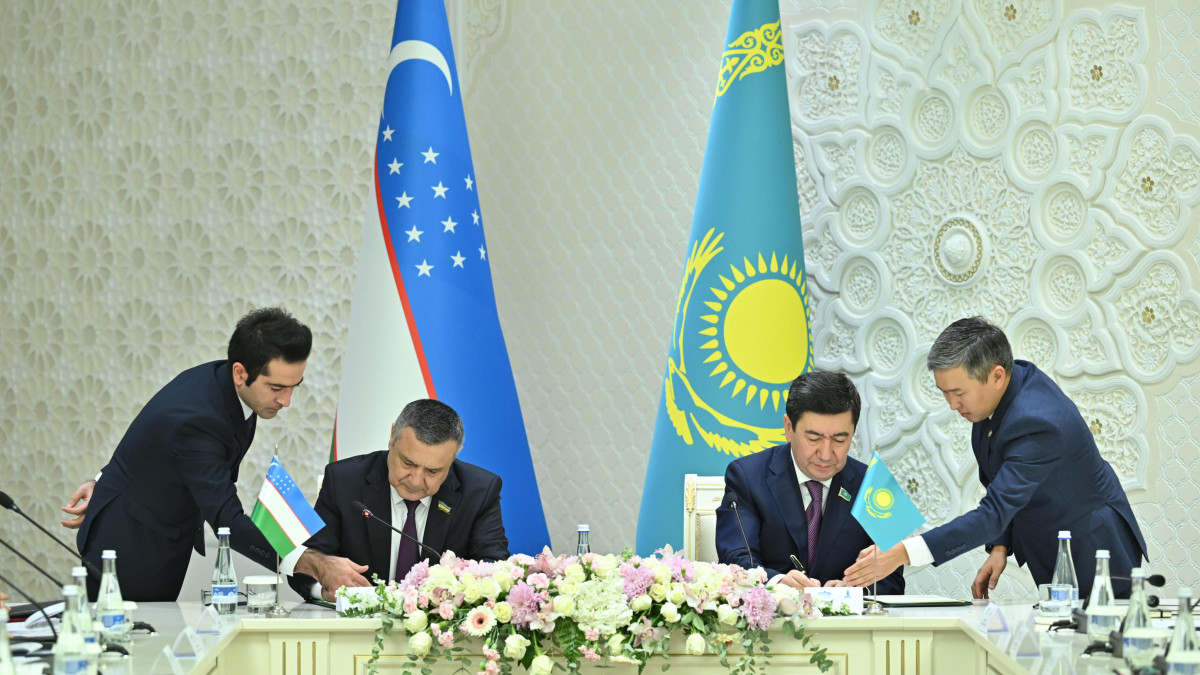 Создание Международного водно-энергетического консорциума стран Центральной Азии обсудили депутаты Казахстана и Узбекистана