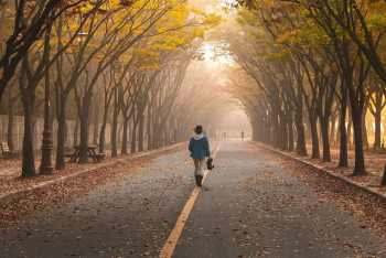 Фотография к новости: Сократить прогулки в субботу рекомендуют жителям Алматы и Актау