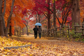 Фотография к новости: В Алматы синоптики прогнозируют ухудшение качества воздуха в воскресенье