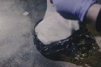 Фотография к новости: 250 килограммов наркотиков изъяли казахстанские полицейские