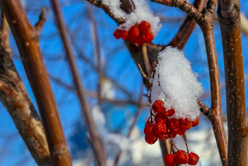Снег и метель ожидаются в Казахстане 31 октября