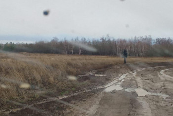 60-летняя женщина пошла за грибами и заблудилась в лесу