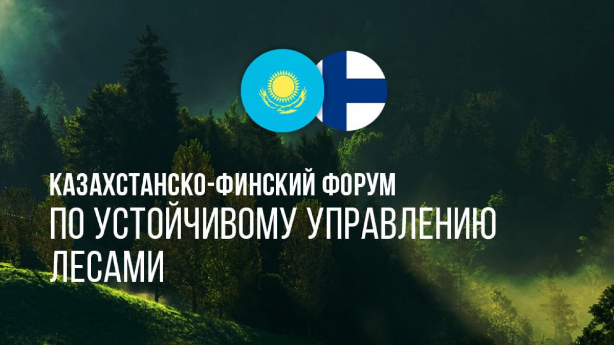 иллюстративное фото