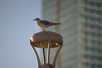 Фотография к новости: И снова туман: синоптики рассказали о погоде в Казахстане на понедельник