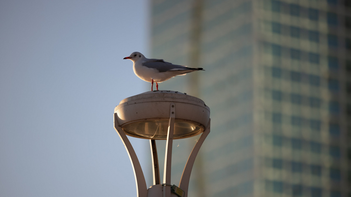 Артём Чурсинов/BaigeNews.kz