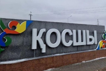 Фотография к новости: Дом с синей лампочкой, темень и бродячие псы - жители Косшы рассказали о проблемах