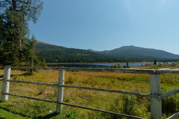 Фотография к новости: Скот гибнет от неизвестной болезни в ЗКО