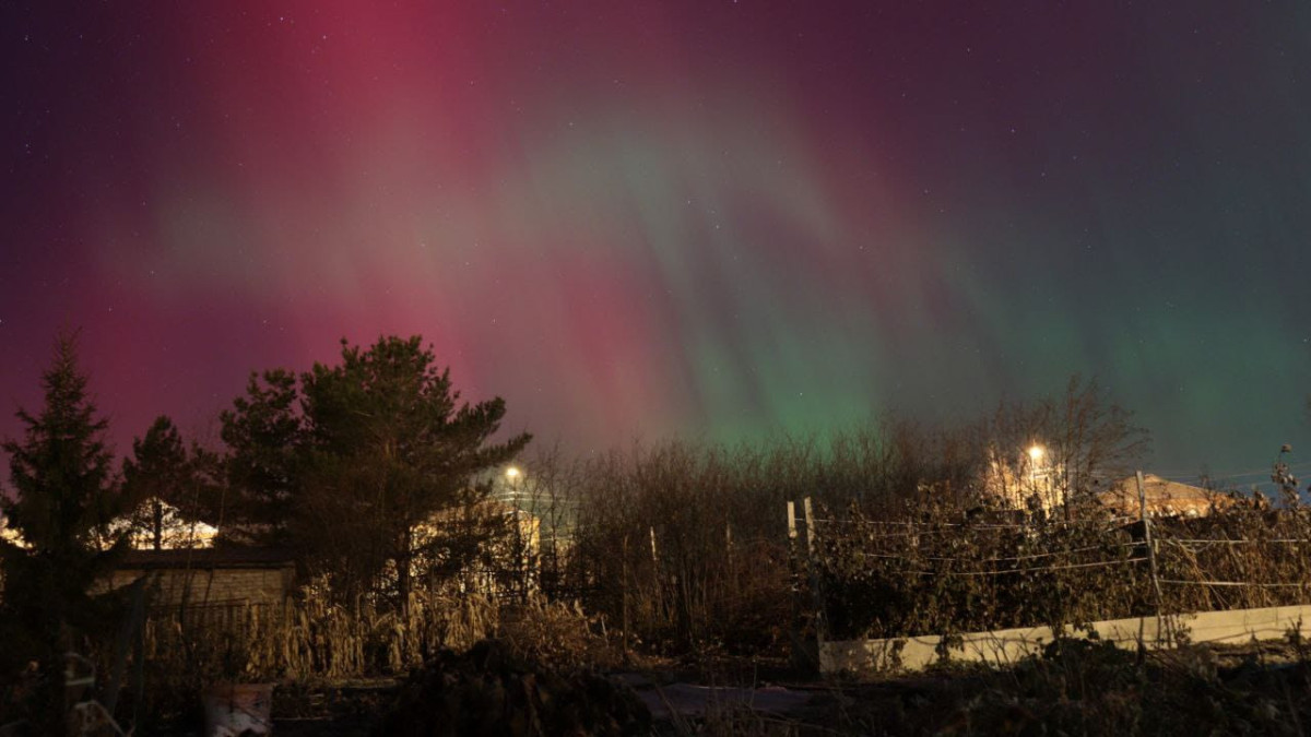 Галина Доленко жительница СКО.