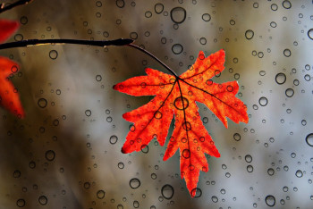 Штормовое предупреждение объявлено на большей части Казахстана