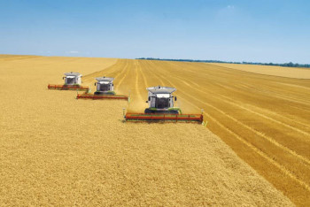 Минимальный урожай пшеницы собрали в Казахстане за 11 лет