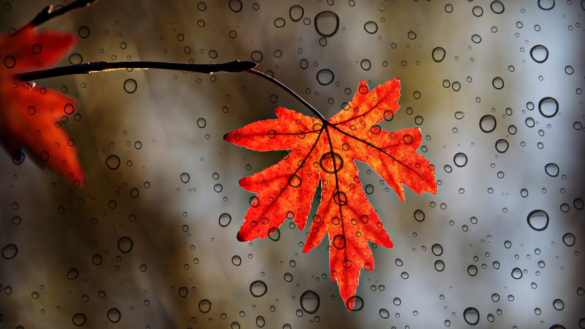 Pixabay