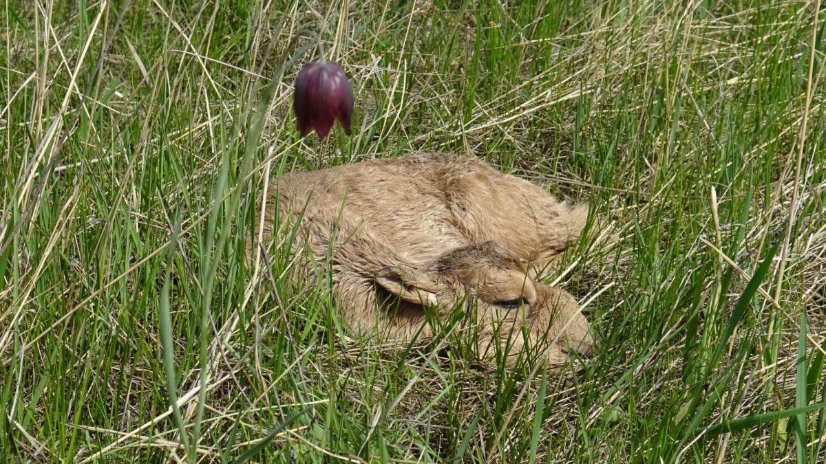 архив Б.Сарсеновой