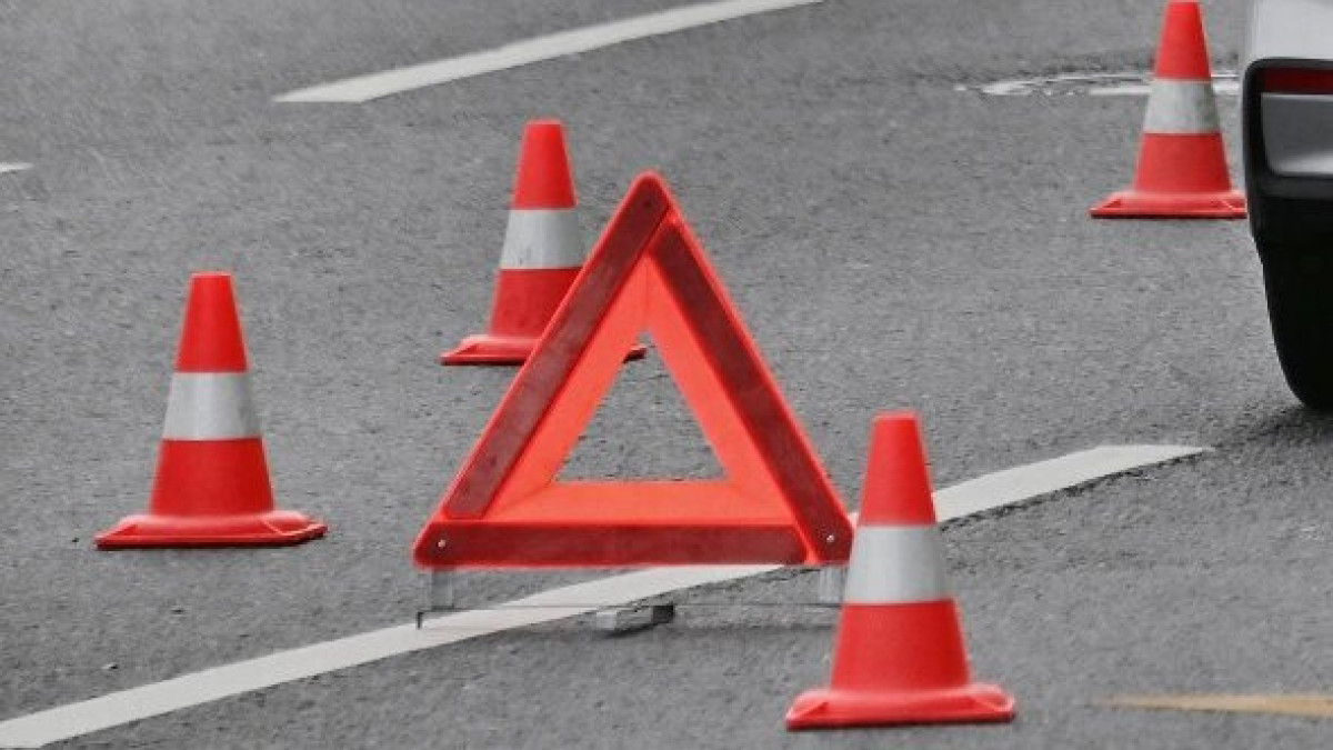 Владимир Баранов / Global Look Press