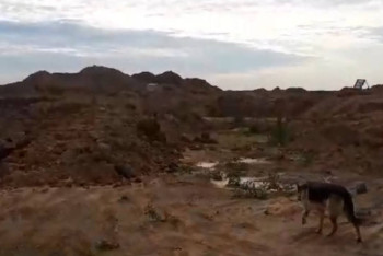 Фотография к новости: Кругом какое-то лобби: без питьевой воды могут остаться десятки сёл под Астаной