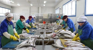 В два раза увеличилось количество рыбных хозяйств в Казахстане за три года
