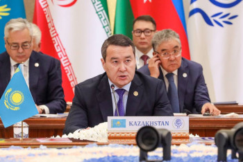 Фотография к новости: Казахстан намерен экспортировать порядка 100 видов товаров в страны ОЭС