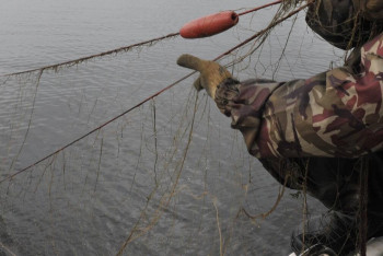 370 кг рыбы незаконно выловили рыбаки из Бухтарминского водохранилища