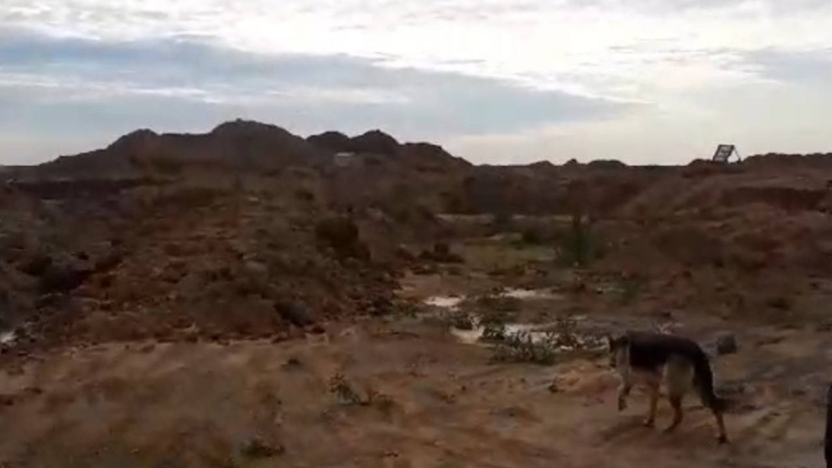 Марат Жасаров.