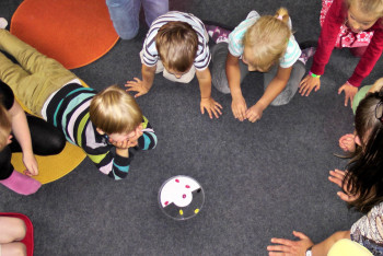 Фотография к новости: 70 процентов детсадов в Кызылорде не прошли госаттестацию