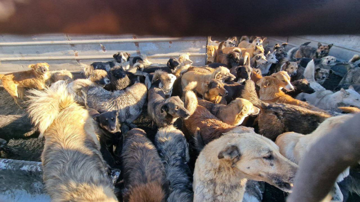 Гульнара Джусупова