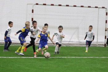 Поставщицу осудили за хищения на платформе "Артспорт" в Алматы