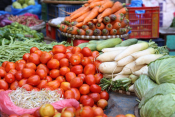 СПК Казахстана запаслись 180 тысячами тонн овощей на межсезонье