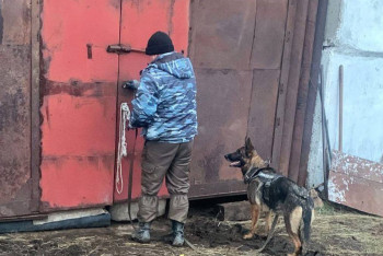 Фотография к новости: Оперативный штаб и служебные собаки: как проходят поиски семилетней Миланы под Экибастузом