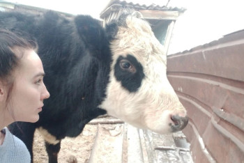 Фотография к новости: В Казахстане празднуют день работников сельского хозяйства