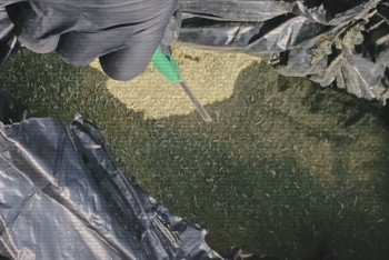 Фотография к новости: Более 200 кг наркотиков изъяли казахстанские полицейские в ноябре