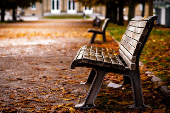 Почти 60 млн тенге потратит акимат Актау на скамейки