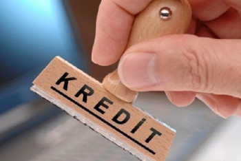 Фотография к новости: Стремительный рост кредитования закончится социальным взрывом - экономист