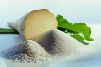 Фотография к новости: В области Жетысу заработал простаивавший три года сахарный завод