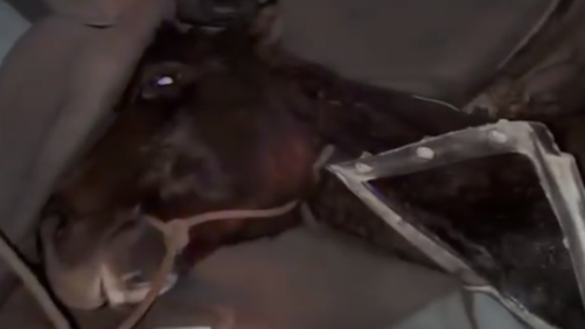 скрин с видео