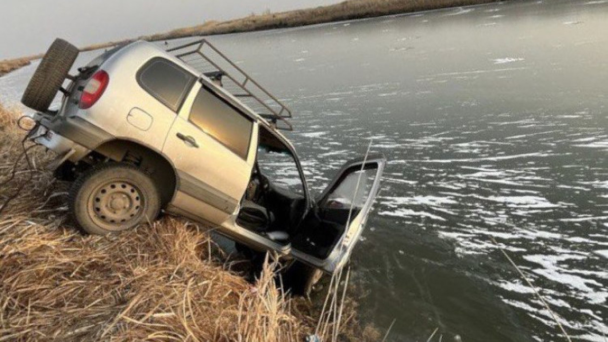 ДП Павлодарской области