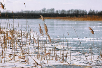 Предупреждение из-за тёплой зимы сделали астанчанам спасатели