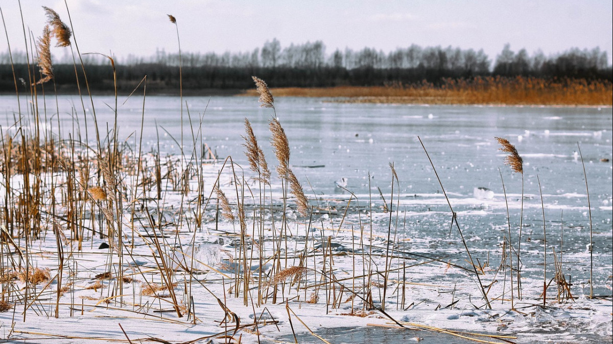 pixabay.com / иллюстративное фото