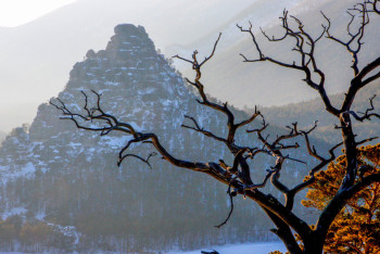 Фотография к новости: Оздоровительный детский центр не давали строить инвестору в Акмолинской области