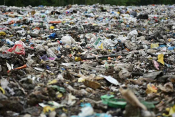 Место для нового мусорного полигона нашли в Петропавловске