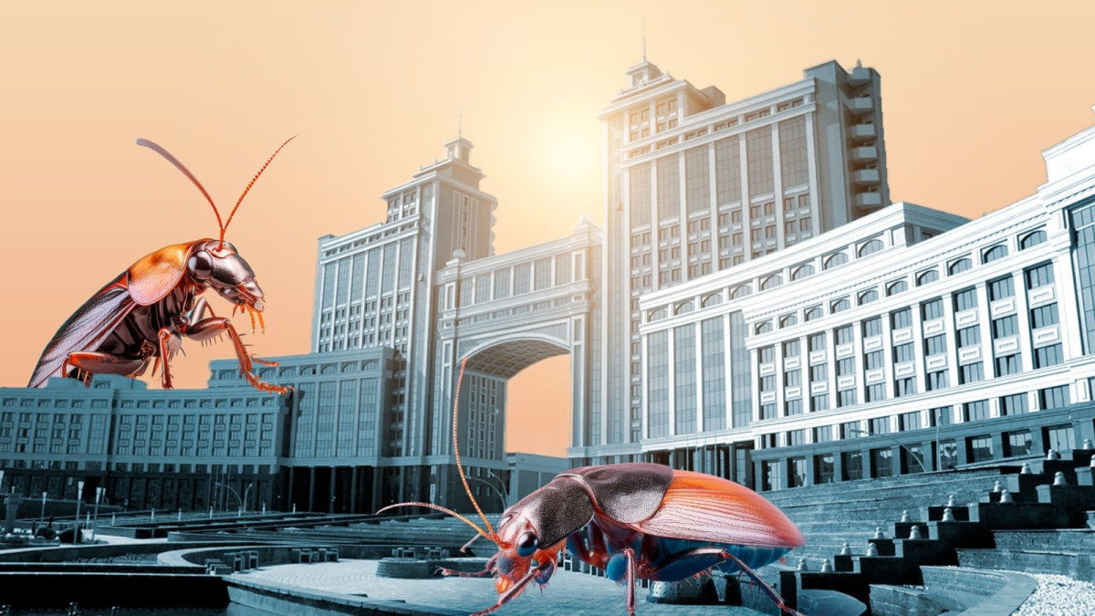 Клопы и тараканы заполонят Астану – эксперт о планируемом лицензировании услуг дезинсекции