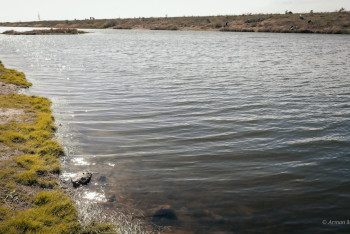 Фотография к новости: Как Казахстан может избежать водного кризиса, рассказал эксперт